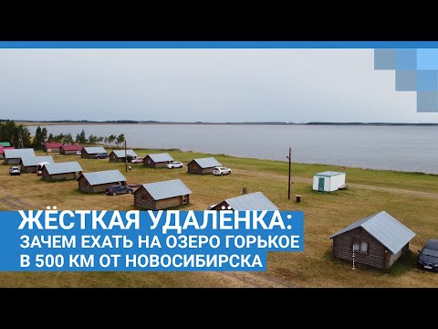 Видео: Жёсткая удалёнка: зачем ехать на озеро Горькое в 500 км от Новосибирска | NGS.RU