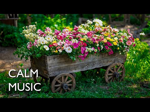 Видео: Tranquil Piano – Найдите спокойствие среди цветущих цветов