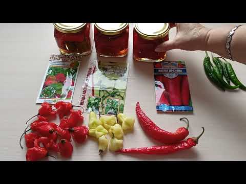 Видео: Какие сорта острого и полуострого перца подойдут для выращивания на подоконнике?21 октября 2023 г.