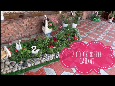 Видео: Гулдор цветы