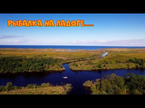 Видео: Рыбалка на Ладоге!