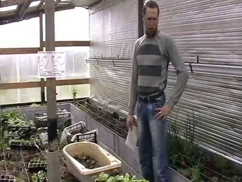 Видео: Солнечный вегетарий в Здравом Краснод.кр. обобщение