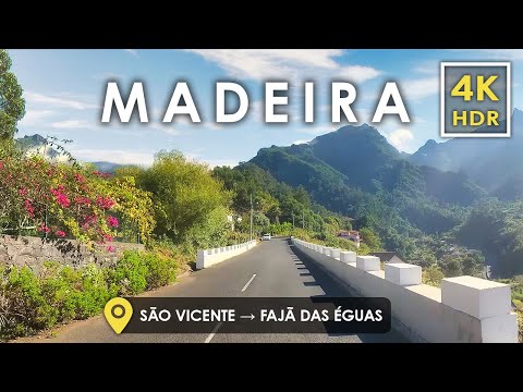 Видео: Откройте Мадейру, Португалия 🇵🇹 | Горные дороги после пожаров | Живописный тур 4K HDR
