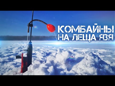 Видео: КОМБАЙН НА ЛЕЩА ЯЗЯ! БЫСТРО И ПРОСТО! ЗИМНЯЯ РЫБАЛКА!