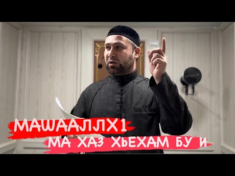 Видео: Ма Хаз хьехам бу и