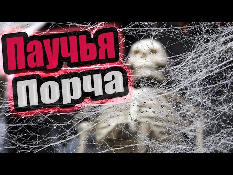 Видео: Ритуал Снимаем паучью порчу на месте силы