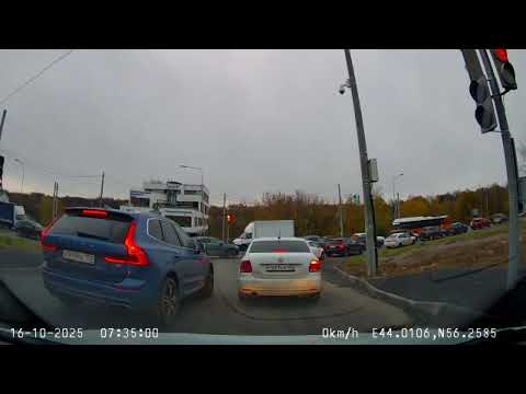 Видео: Как тараканы...