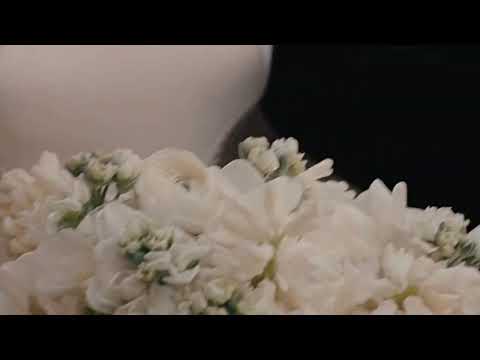 Видео: Аро и Белла| La Mia Bella (Wattpad)