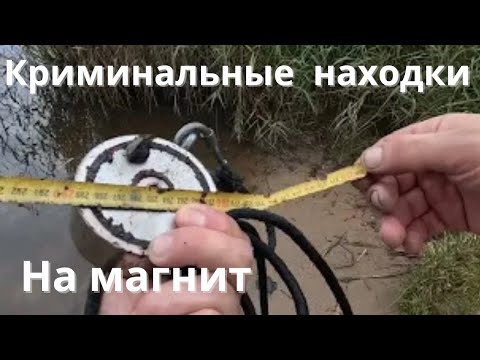 Видео: Криминальные находки на магнит