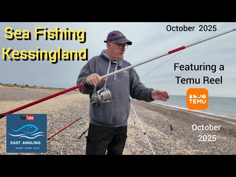 Видео: Тест катушки Кессингланда