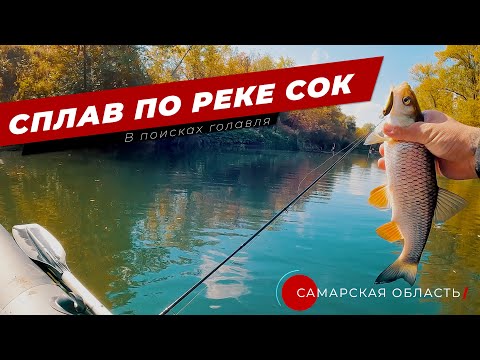 Видео: Сплав по реке Сок (Самарская область) в поисках голавля