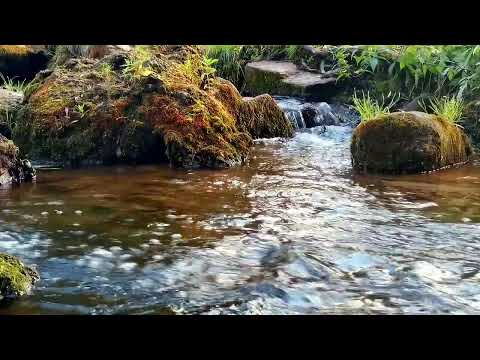 Видео: Звуки Природи для Твого Сну та Відпочинку| Звук Води
