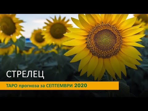 Видео: СТРЕЛЕЦ Таро прогноза за Септември 2020