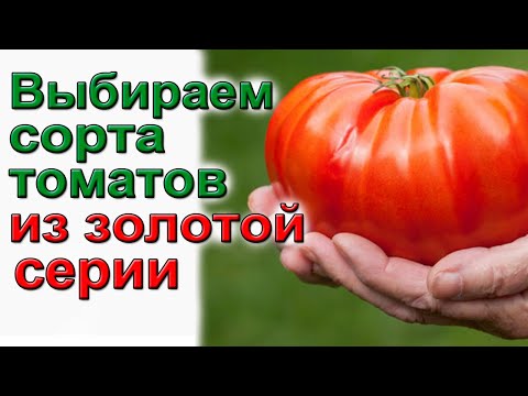 Видео: Сорта томатов с гарантированной урожайностью и вкусом.