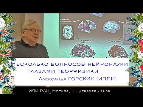 Видео: Несколько вопросов нейронауки глазами теорфизики (А. Горский)