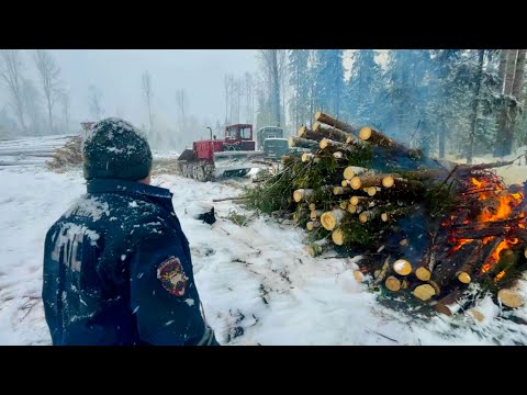 Видео: ТДТ 55 - Лучший Трактор-Трелёвочник всех времен!