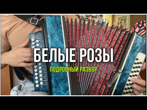 Видео: БЕЛЫЕ РОЗЫ подробный разбор на гармони