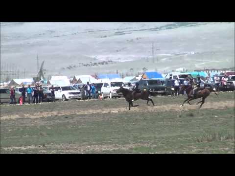 Видео: Аламан байге 2014 1 часть