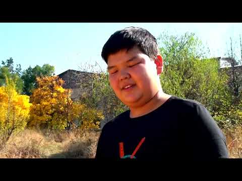Видео: баурлар
