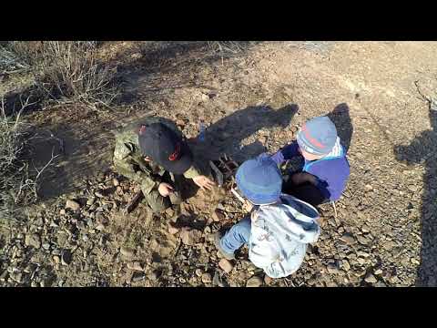 Видео: Кыджимит 22 24 мая 2020