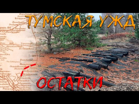 Видео: Рязано-Владимирская (Тумская) УЖД. Остатки былого величия. Ч.2: Пилево, Голованова Дача, Тума.