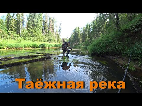 Видео: РЫБАЛКА В ГЛУХОЙ ТАЙГЕ!!! ЛОВЛЯ ХАРИУСА, ЩУКИ НА ....