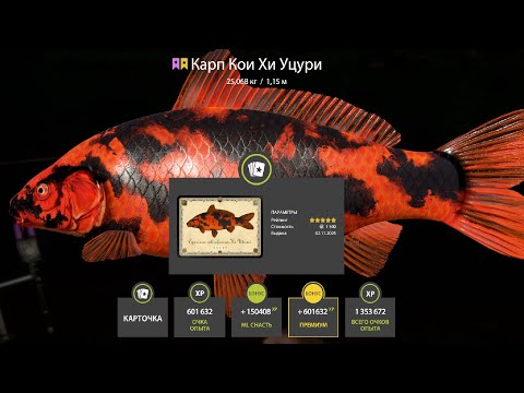 Видео: В ПОИСКЕ ФАРМА СЕРЕБРА и КОИ после СБРОСА на МЕДНОМ и ЗА ОСЕТРОМ на ТУНГУСКУ РУССКАЯ РЫБАЛКА 4 РР4