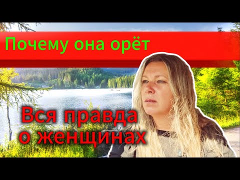 Видео: Видео только для мужчин. Правда про женщин