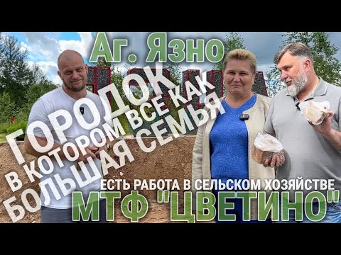 Видео: Городок, где все живут как одна семья