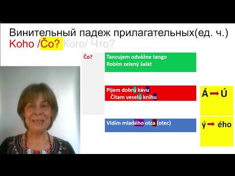 Видео: Краткий курс словацкой грамматики II. Существительные и прилагательные. Лекция 5