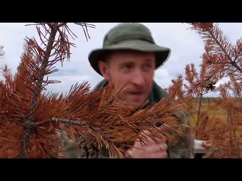 Видео: 27 сентября 2025 г.