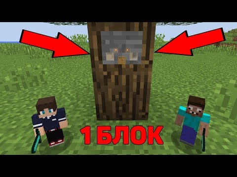 Видео: 2 ПРО УМЕНЬШИЛИСЬ В 1 БЛОК В МАЙНКРАФТ ТРОЛЛИНГ ! ДОМ НА ДЕРЕВЕ В 1 ПИКСЕЛЬ В MINECRAFT МУЛЬТИК !
