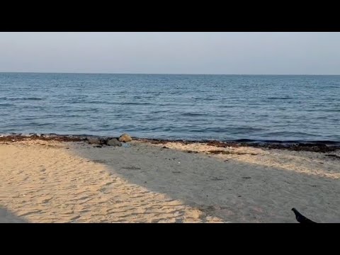 Видео: Тунги АфрикаРекорд сари йўл1358-кун—————————————————Аъзо бўлинг: 