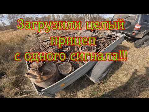 Видео: Металлокоп. Снова нарвались на сброс металла, загрузили прицеп с одного сигнала!!!