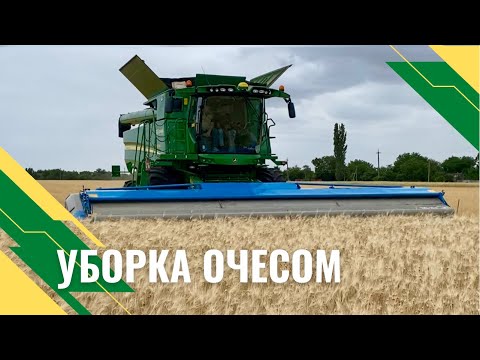 Видео: Уборка очёсывающей жаткой | На что обратить внимание