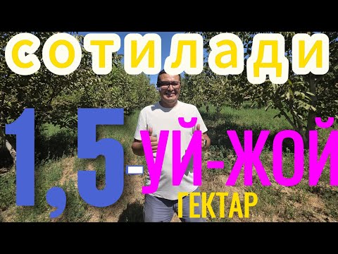Видео: РОСА АРЗОН 1,5-ГЕКТАРЛИ УЙ-ЖОЙ ХОНАДОН БОГЛАРИ БИЛАН СОТИЛАДИ.