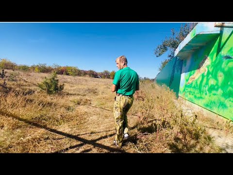 Видео: БЕССТРАШНАЯ семья павлинов решила поселиться СРЕДИ ЛЬВОВ, Олег Зубков вынужден их спасать!