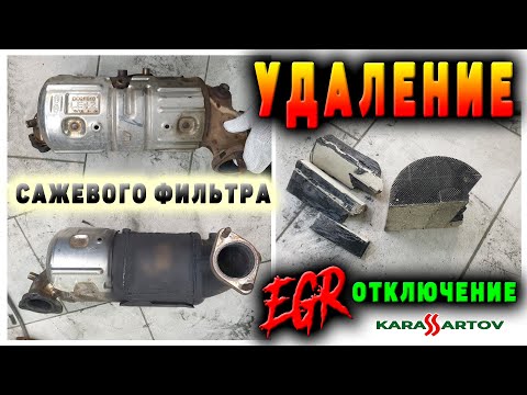 Видео: Удаление сажевого фильтра (DPF), отключение ЕГР (EGR), прошивка блока (дизель). Ошибки P24C6, P24AE.