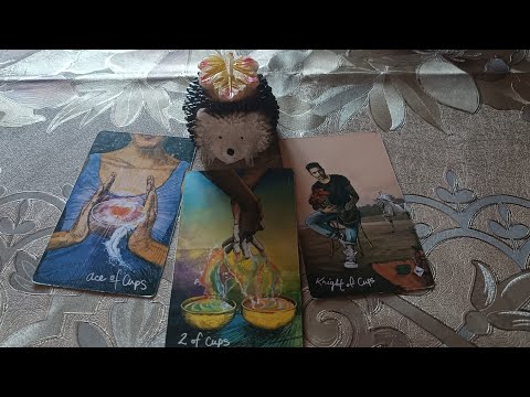 Видео: 🍁🍁Есенни ТРЕПЕТИ ♥️💯💥 Избори🔮