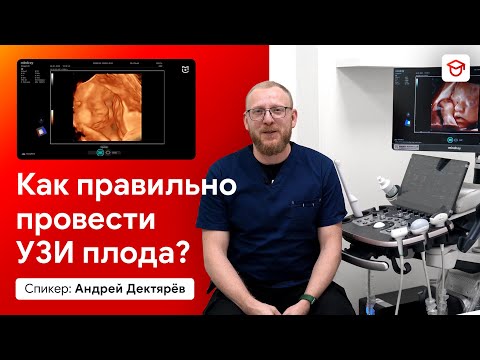 Видео: УЗИ плода на 2-3 триместре. Рутинное исследование при беременности