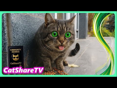 Видео: Никита Попался На Кормлении! 🔥