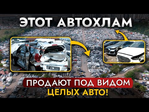 Видео: ЛЮТЫЙ АВТОХЛАМ❗️ Где БАРЫГИ берут БИТЫЕ | УТОПЛЕННЫЕ | СКРУЧЕННЫЕ | РЖАВЫЕ вёдра? АВТОПОМОЙКА Кореи!