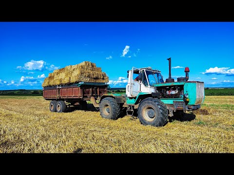 Видео: Тюкуєм солому ЮМЗ-6👍Возим Т-150К❌ Тюки ПАЙОВИКАМ завезли. Всі довольні🫡