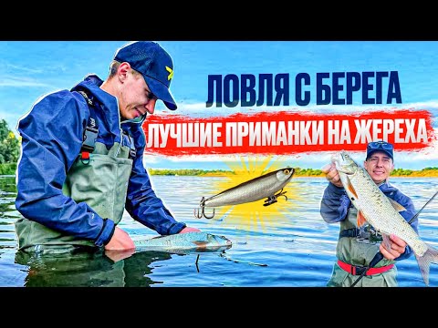 Видео: ЛУЧШИЕ ПРИМАНКИ НА ЖЕРЕХА!!! ЛОВЛЯ КРУПНОГО ЖЕРЕХА С БЕРЕГА!!!