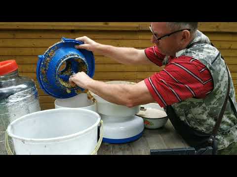 Видео: Мацерат из свежих яблок и груш + копчёная груша + обзор соковыжималки Нептун.