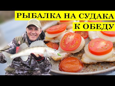 Видео: Рыбалка с volloha | Рецепт судака на костре | Судак на джиг.