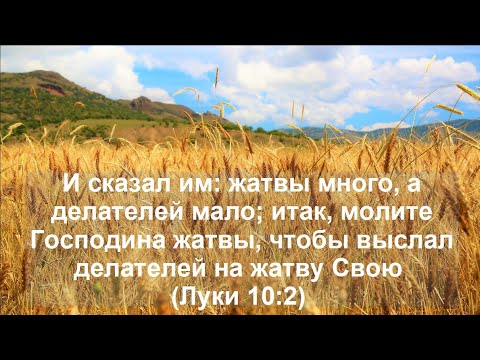 Видео: Проповедь. Жатвы много, а делателей мало ... молите Господина жатвы, чтобы выслал делателей на жатву