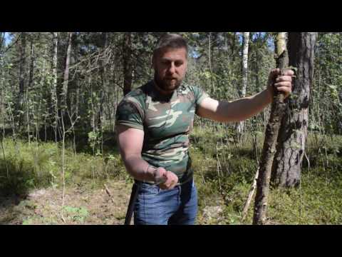 Видео: Время БОЛЬШИХ ножей. АБХАЗСКИЙ БОЛЬШОЙ Кизляр. Уличный тест