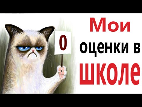 Видео: Приколы! МОИ ОЦЕНКИ В ШКОЛЕ! Смешные видео от Доми шоу! (анимация)