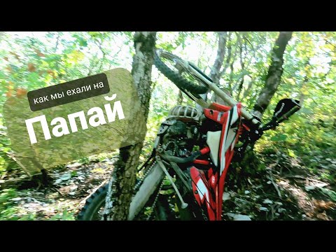 Видео: Убинская-Папай-Собер